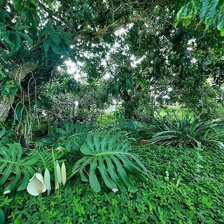 Flat Em Serra Negra - ベゼーホス エクステリア 写真